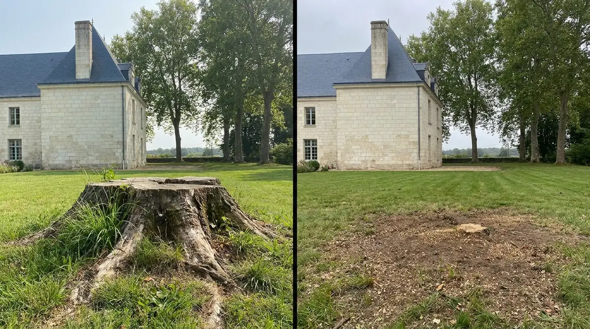 Dessouchage · Indre-et-Loire