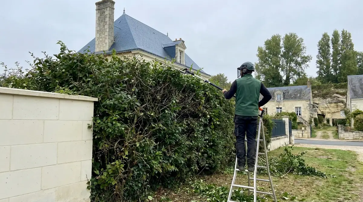 Haie trop haute chez le voisin : que dit la loi ? (Indre-et-Loire)