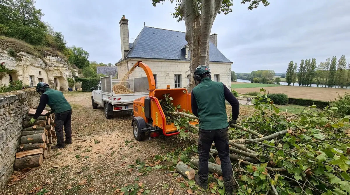 Que faire du bois après élagage ? Solutions pratiques (Indre-et-Loire)